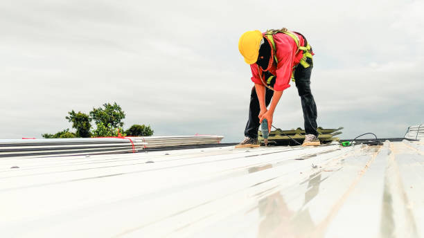 Best Sheet Metal Roofing  in Brownsburg, IN