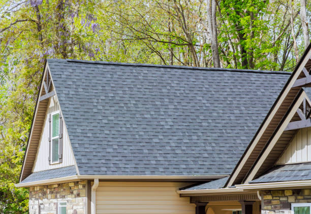 Best Roof Moss and Algae Removal  in Brownsburg, IN